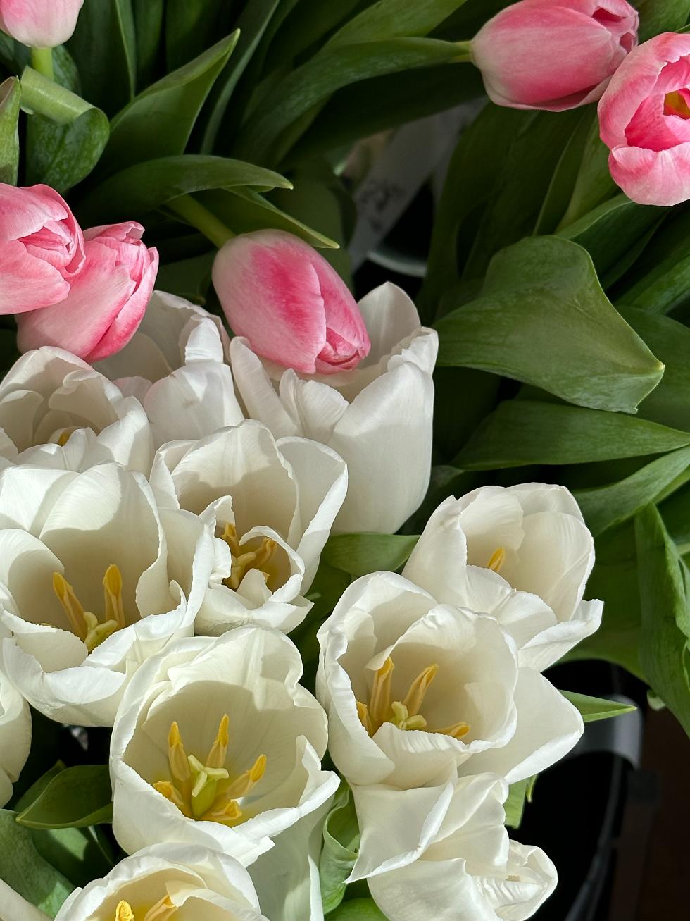 Букет Твои любимые тюльпаны