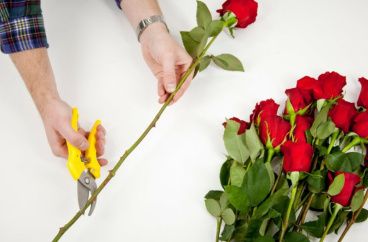 Как ухаживать за срезанными розами в домашних условиях