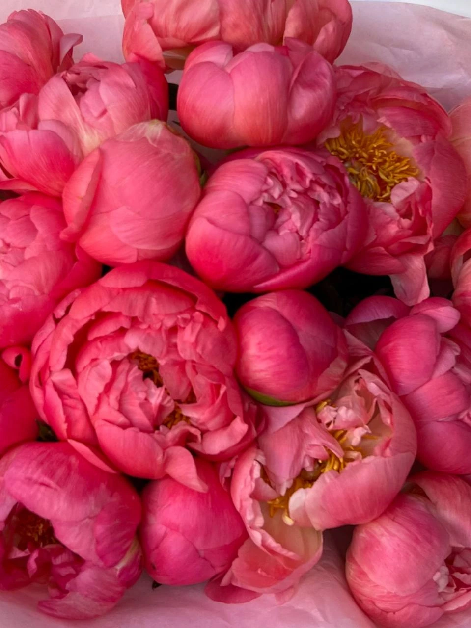 Букет Коралловый шарм