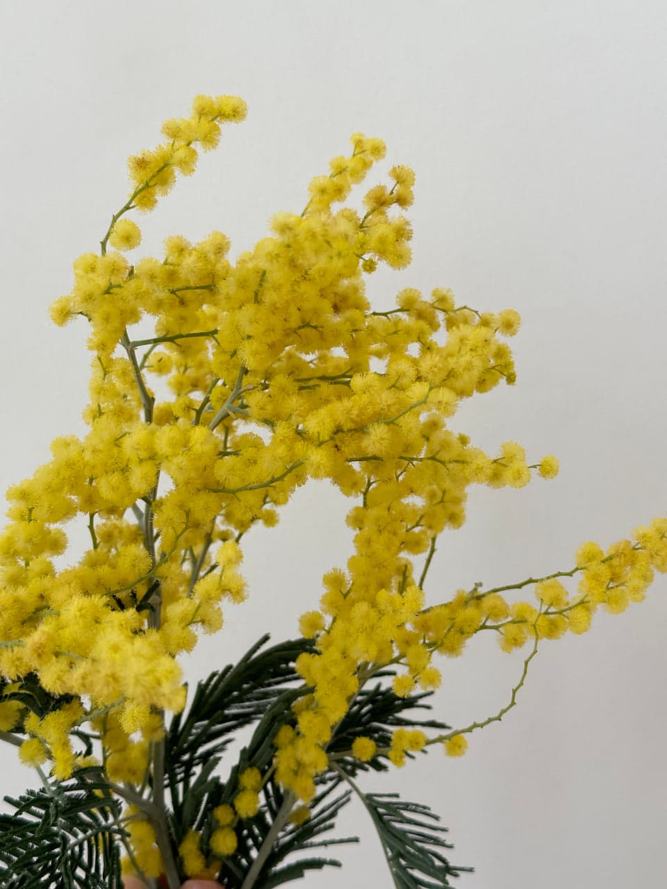 Букет Запах Весны