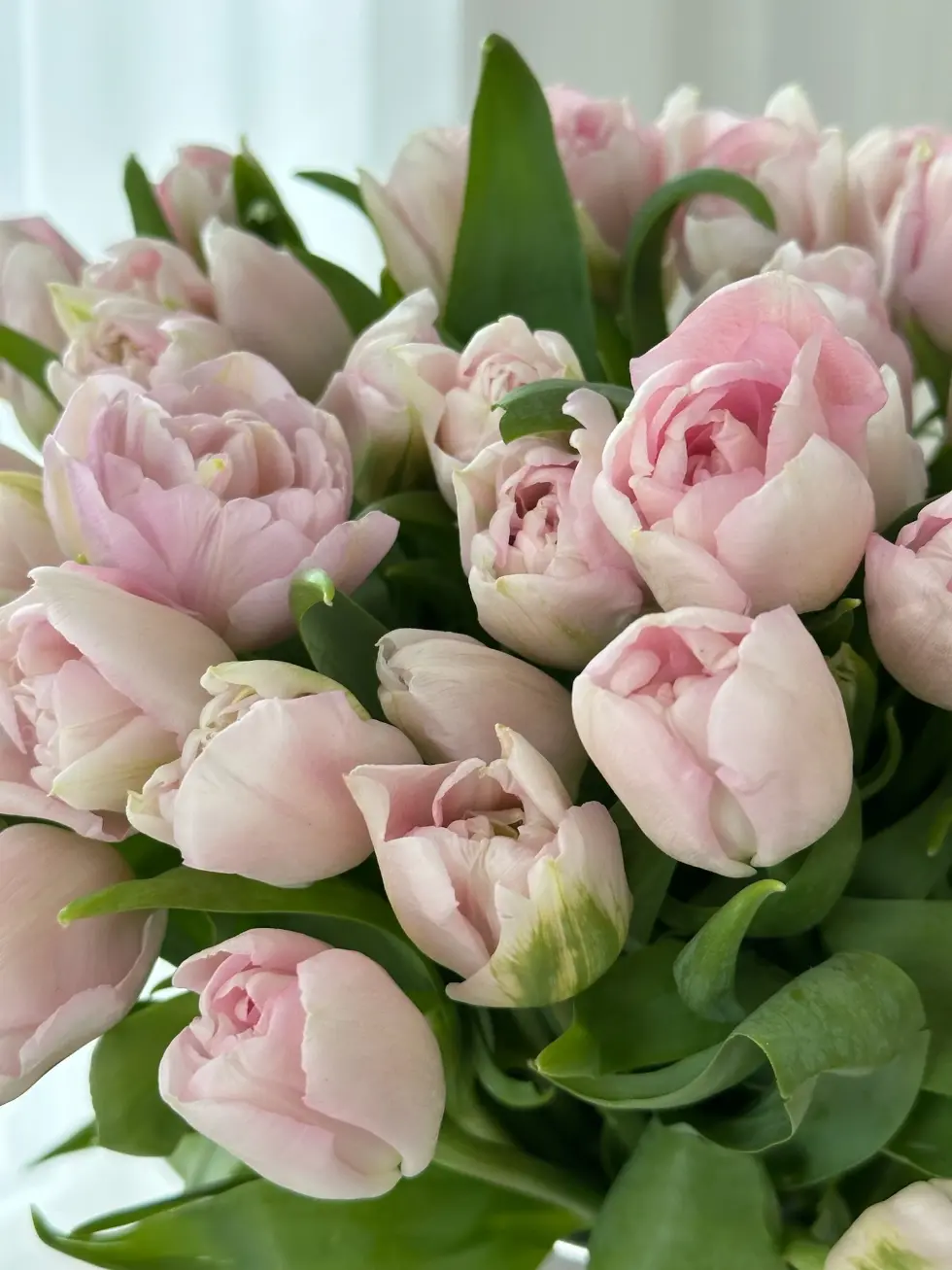 Комбо-набор Вкус Счастья