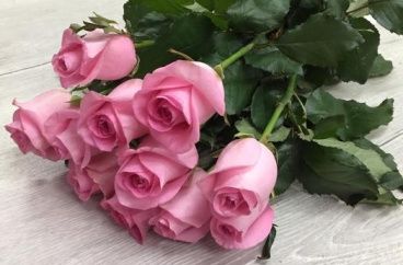 Как продлить жизнь букету в вазе