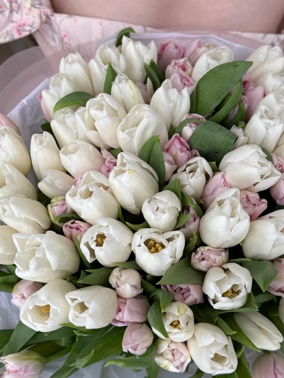 Букет Весенний поцелуй